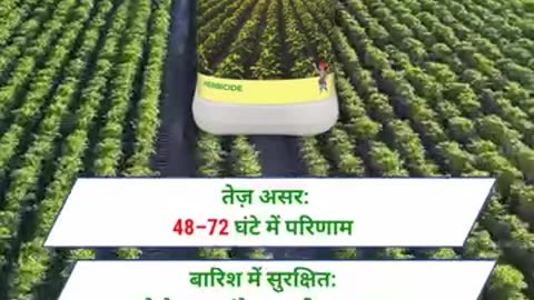 Leading Agrochemical Company in India – NACL Industries