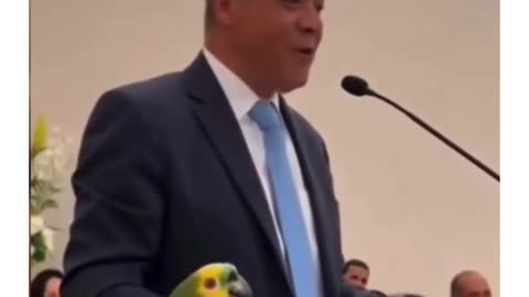 evangelical parrot