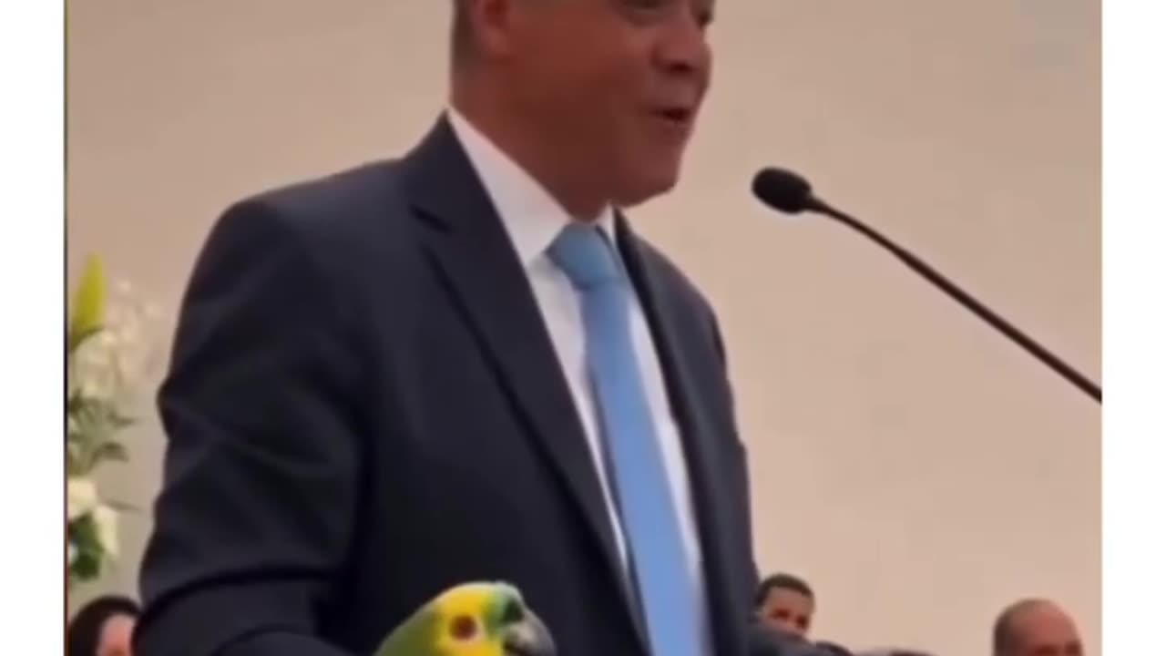 evangelical parrot