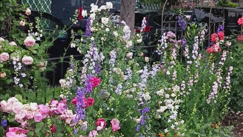 Spring colors