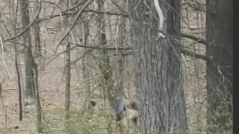 😱👻 What Is That Creepy Thing? | TheHauntingHour