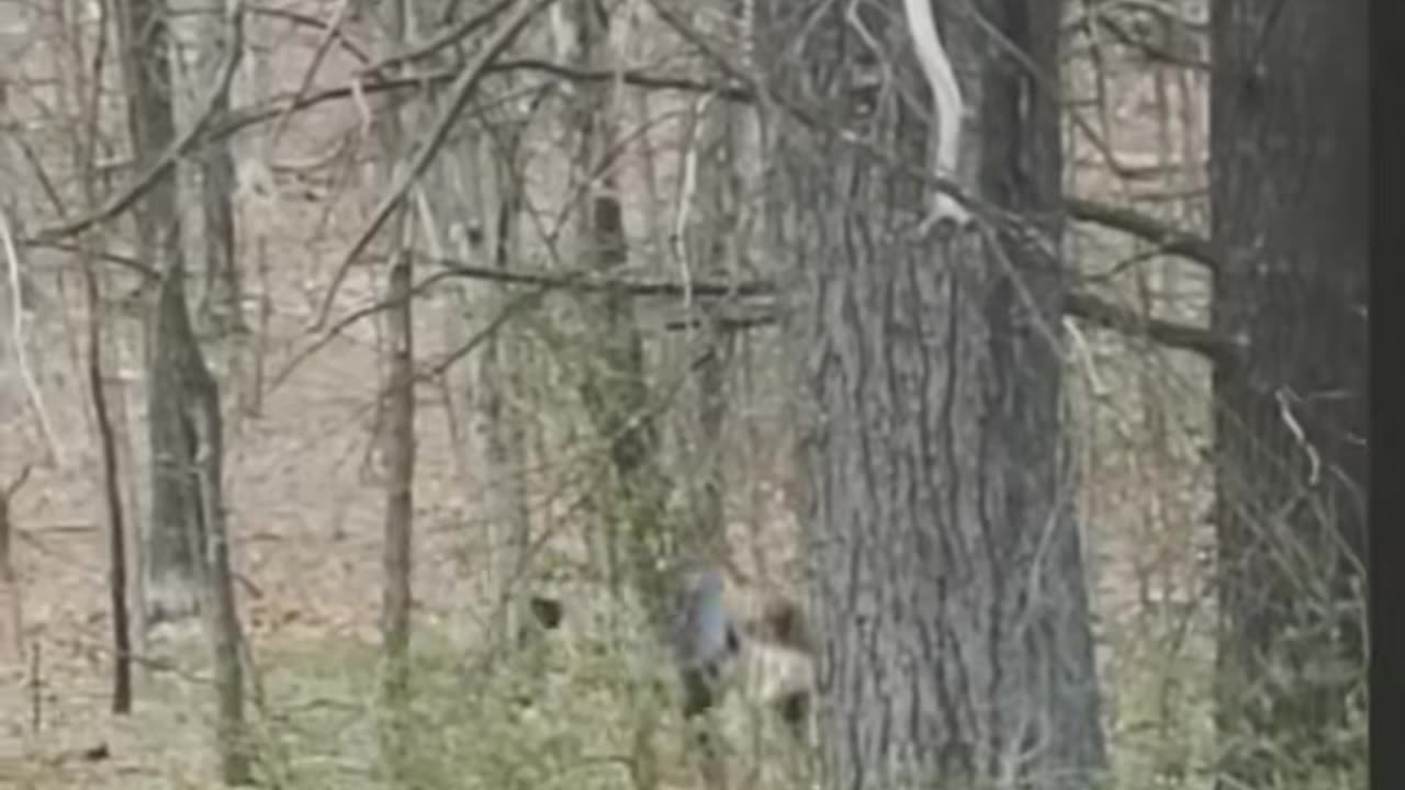 😱👻 What Is That Creepy Thing? | TheHauntingHour