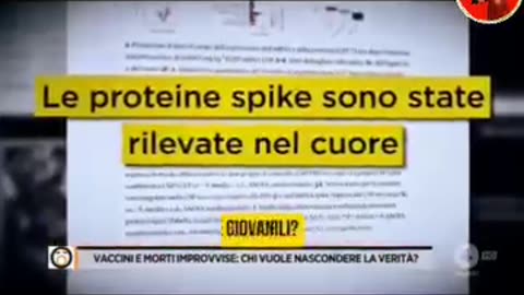 LEGAME TRA MORTI IMPROVVISE E VACCINAZIONI COVID