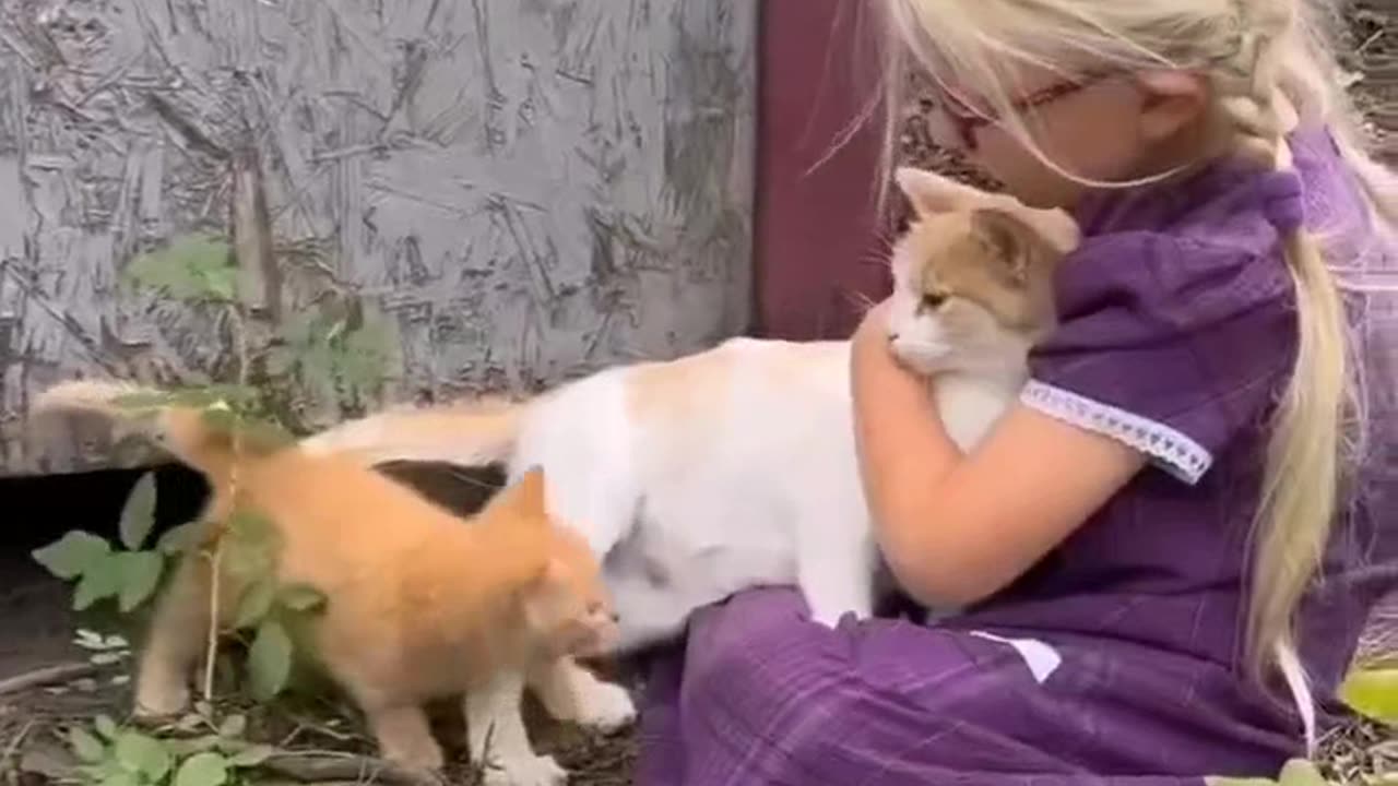 Cat😻😽