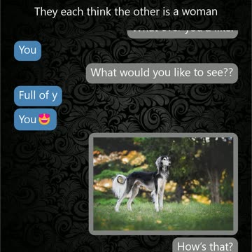 Horny losers exchange pics, but they are replaced with dogs.
