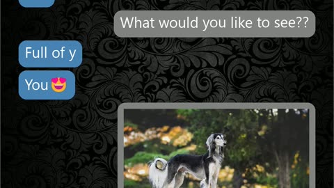 Horny losers exchange pics, but they are replaced with dogs.