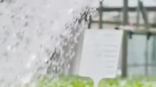 Dems are attacking our food supply Ca Dems passed “The Sustainable Groundwater Management Act”