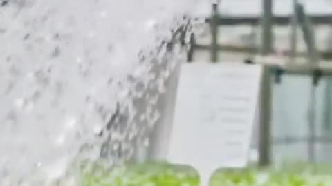 Dems are attacking our food supply Ca Dems passed “The Sustainable Groundwater Management Act”