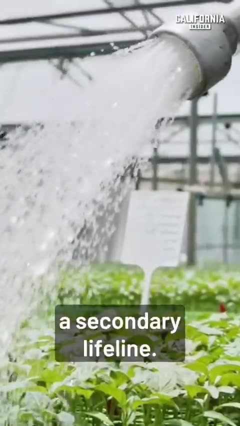 Dems are attacking our food supply Ca Dems passed “The Sustainable Groundwater Management Act”