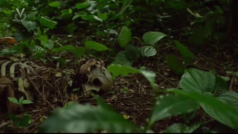 [R] Inicio de "Bob Esponja 2: Un Héroe Fuera del Agua" en Venevisión (Venezuela 🇻🇪) (04/01/2026)