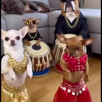 The one in red has killed it