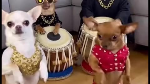 The one in red has killed it