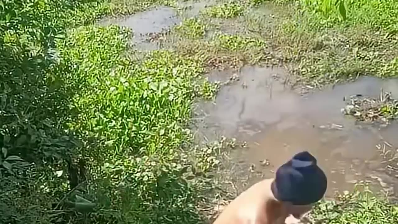 Epic Funny Video 😂😂😂