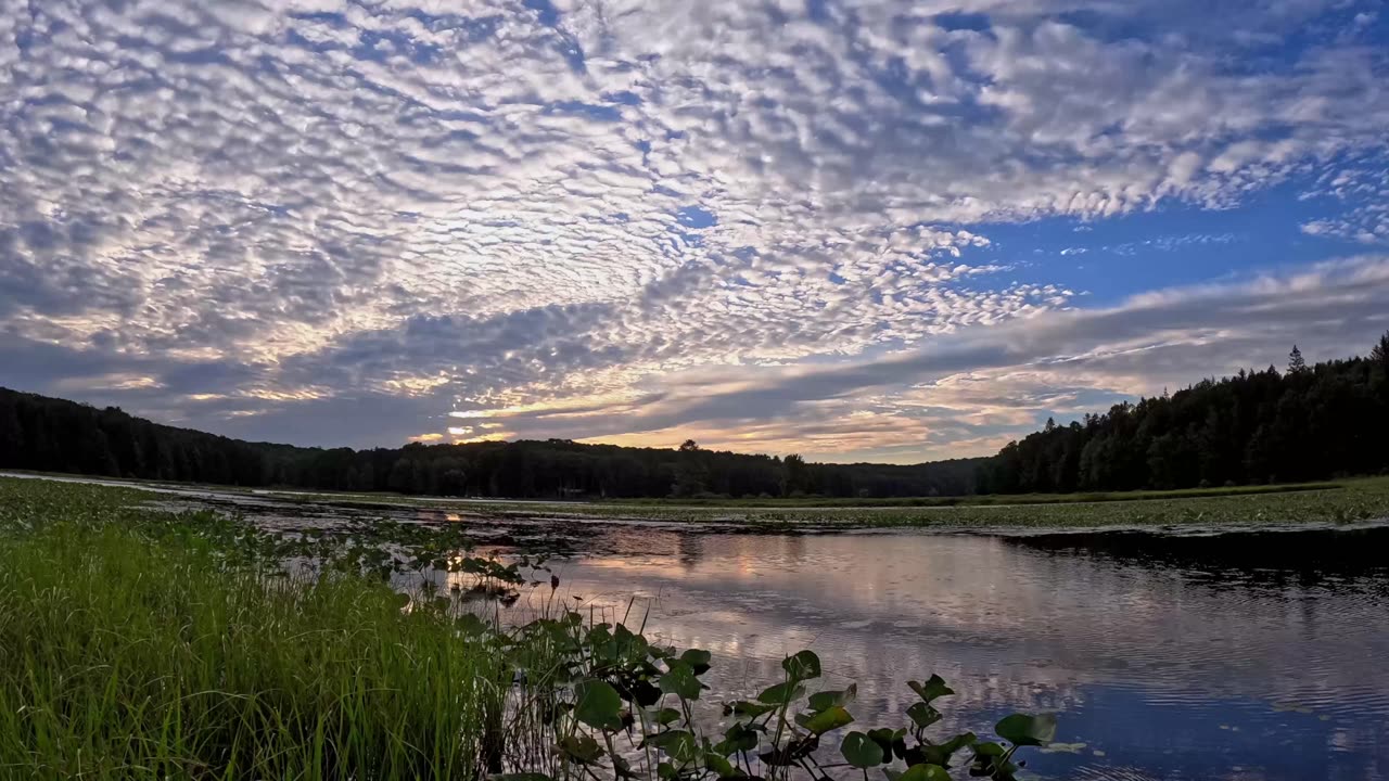 Black Moshannon Timelapse - 4K