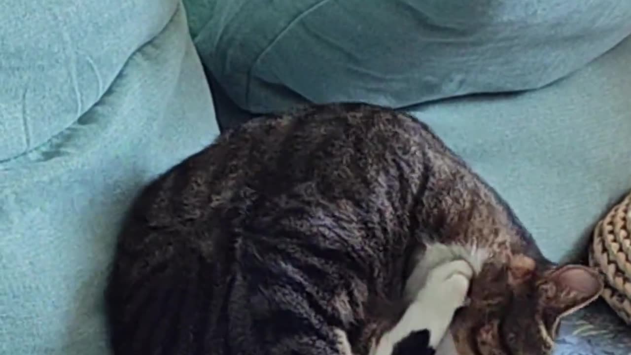 Why does it kick itself?