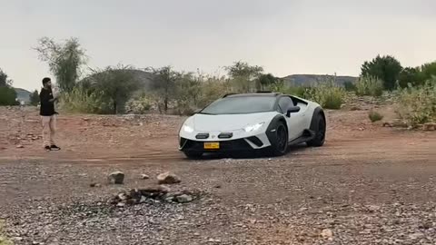 ✨💎 The Most STUNNING Bugatti Chiron Interior You'll See! | LuxurySportsCars