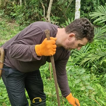 Expat Life in the Philippines, Planting Mulberry Cuttings at the Farm