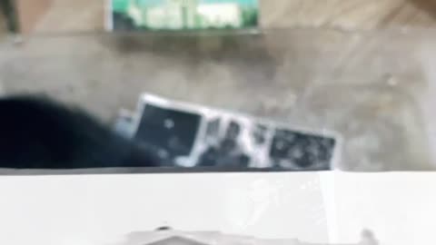 Tim Rifat TikTok Videos