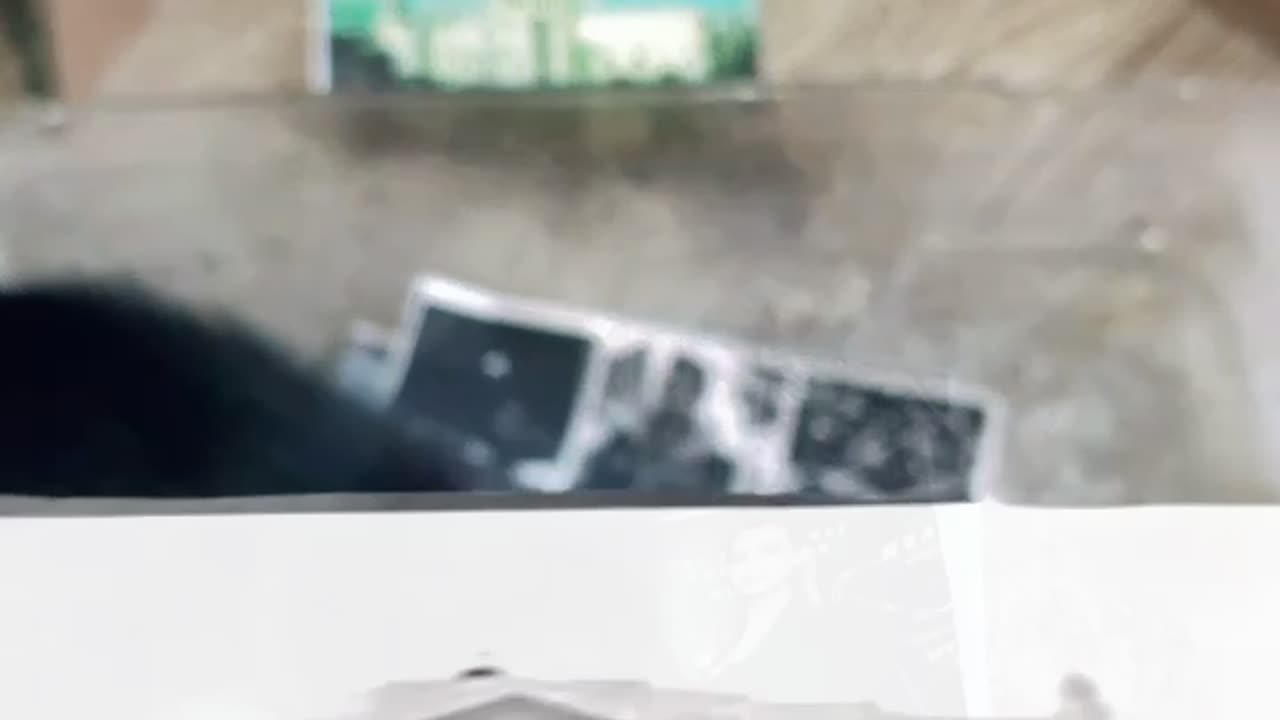 Tim Rifat TikTok Videos