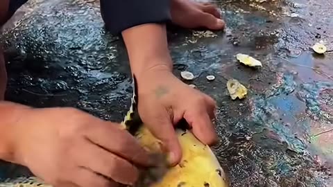 Fishermen found a sea turtle stuck to a drifting fishing line and helped it return to the sea