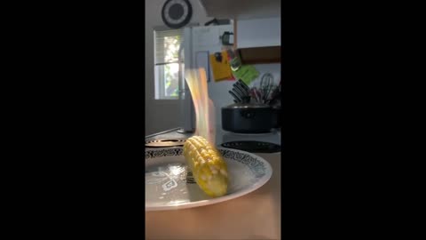 Corn put in a perfect spot - and it's amazing no? Never thought I'd say that