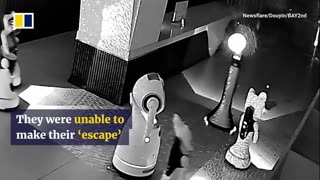 🤣🤖 You Won't Believe This Robot Persuasion Trick! | FunFM
