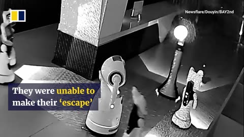 🤣🤖 You Won't Believe This Robot Persuasion Trick! | FunFM