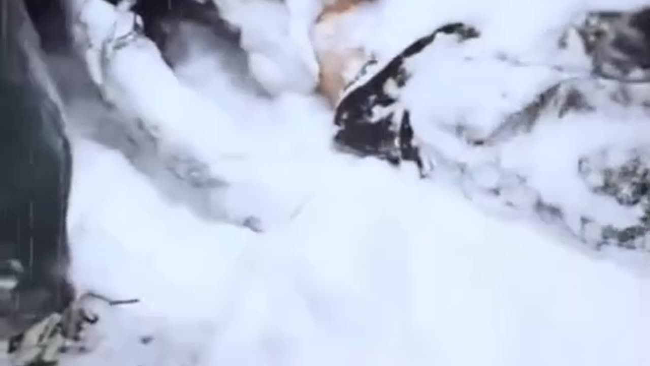 "The freezing of a young man at smuggling borders" واقعا درد آور است این جوان را در مرز یخ زده