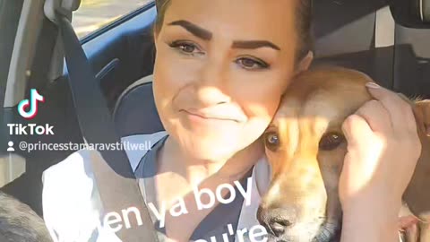 Archie knows when I'm sad