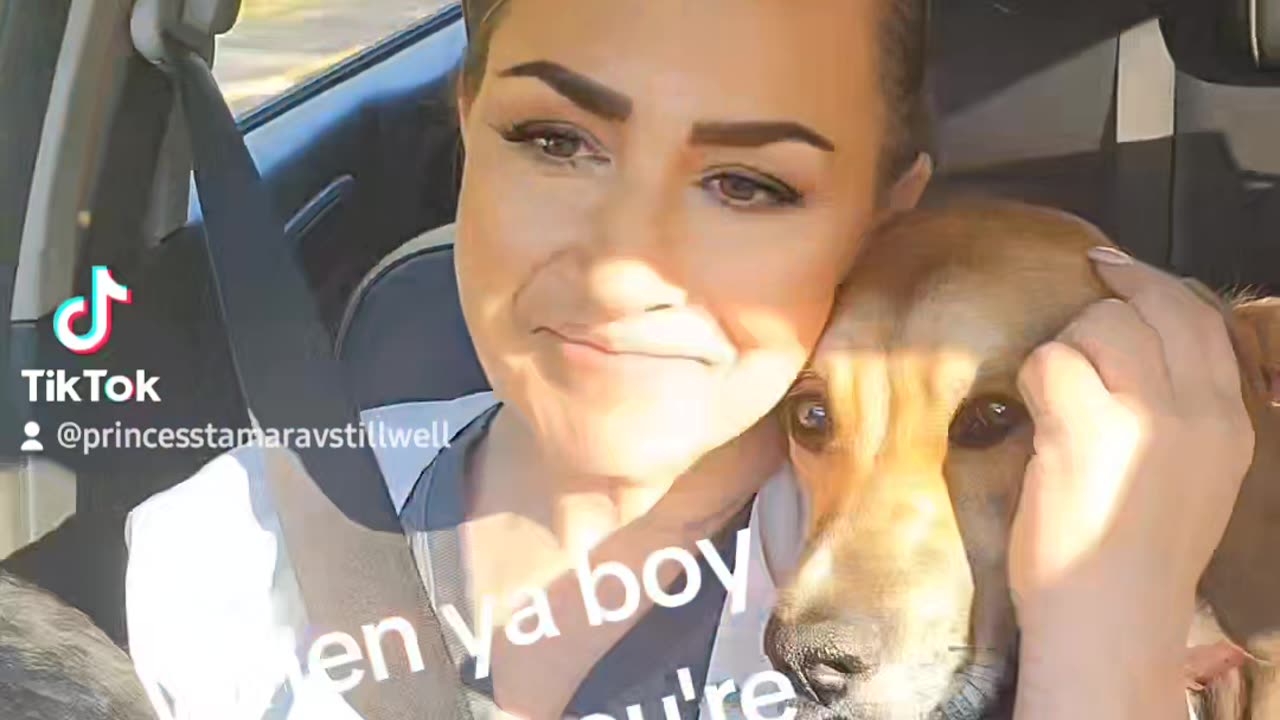 Archie knows when I'm sad