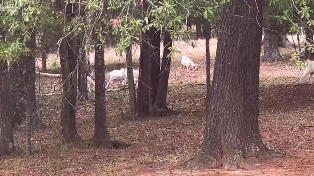 Doing their job cleaning up the land