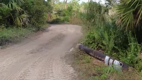 Adventure Bike: Sandy!