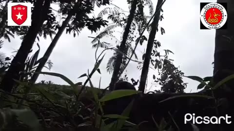 🌿💥 Myanmar War | IED Attack Destroys Junta Vehicles in Tanintharyi | RCF