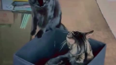 Funny Fails IV