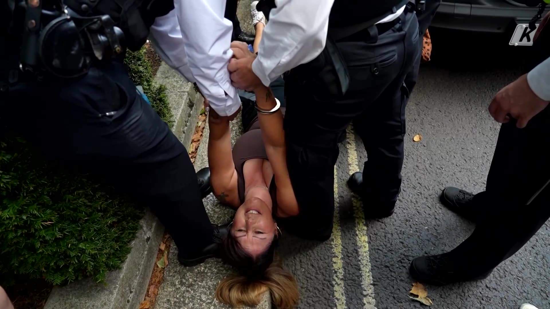 Hundreds arrested at London protest for banned Palestine Action group