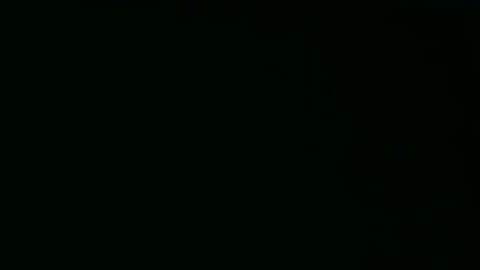 Should You Run From Chase?