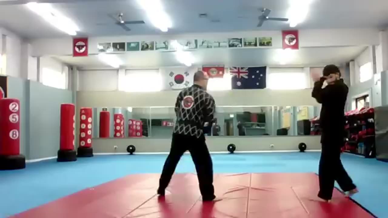 Hapkido