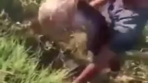 Un pêcheur se fait cogner par un poisson
