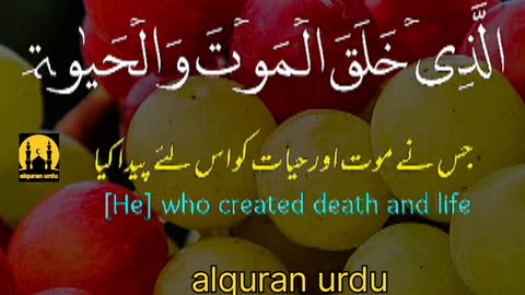 Surah al mulk