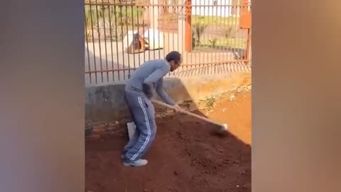 Try Not To Laugh!