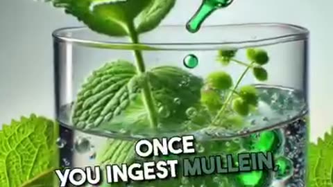 Detox lungs Naturally