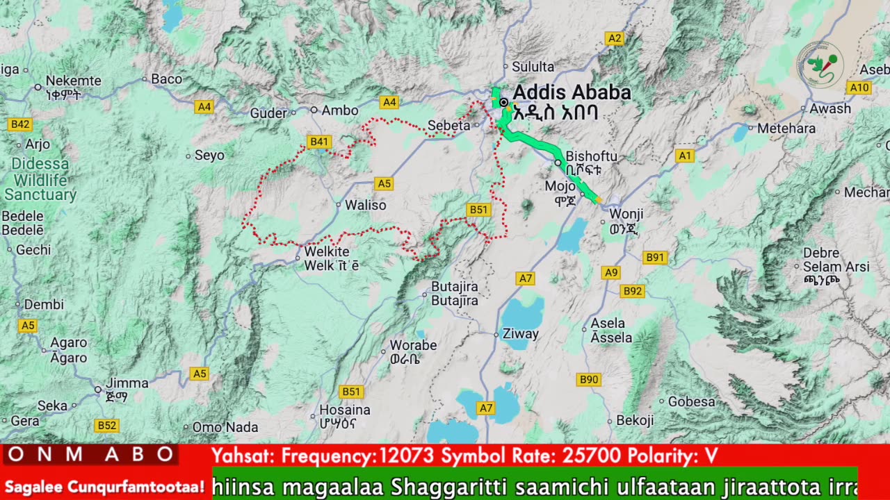 Oduu Galgala ONM-ABO Ebla 8-2025 itti dhiyaadhaa!