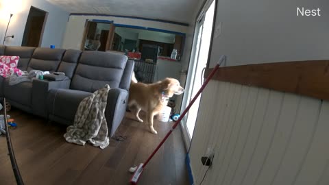 😱👻 Chilling EVPs Caught in New Home - Analysis Requested! | TheHauntingHour