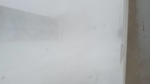 BUFFALO SNOW STORM 2024
