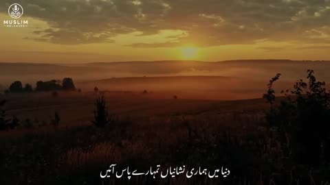 Insan Udas Kyun Hota Hai? | Depression Ka Ilaj | Emotional Reminder | Mufti Menk Bayan Urdu