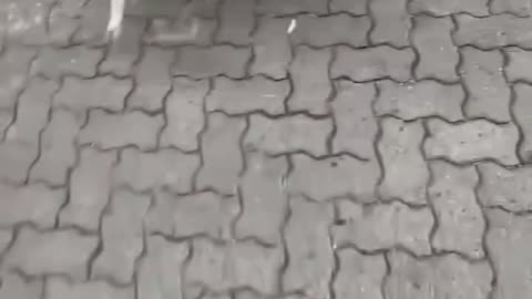 Watch what happened here