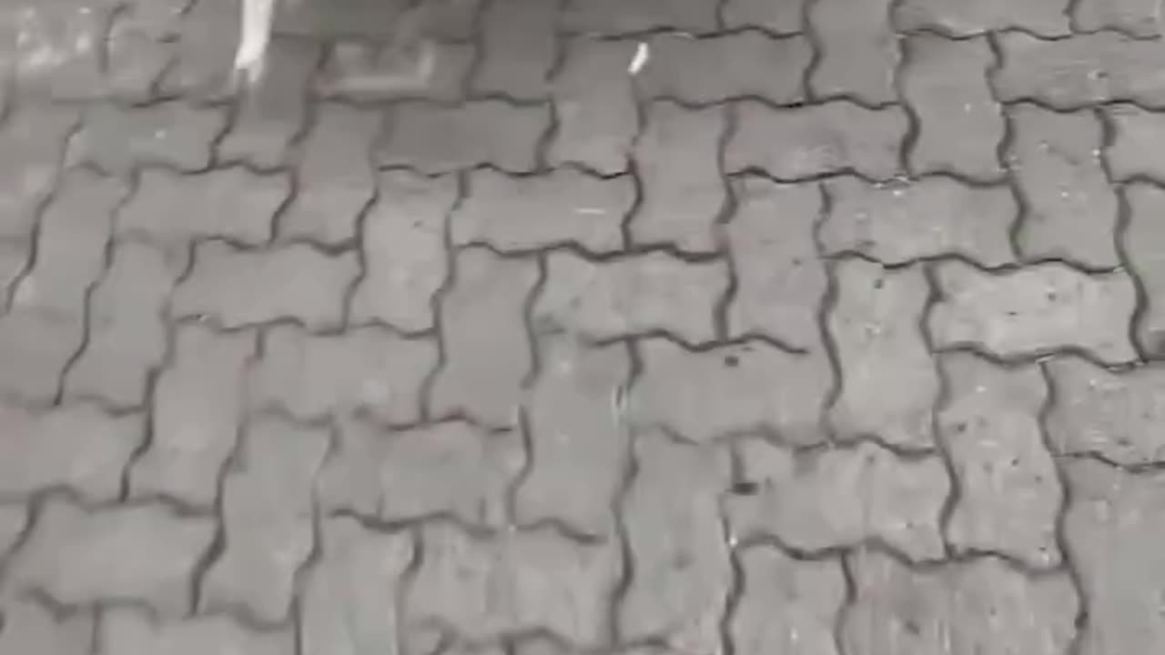 Watch what happened here