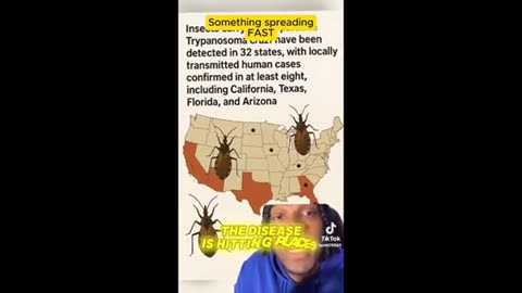 Kissing Bug ..