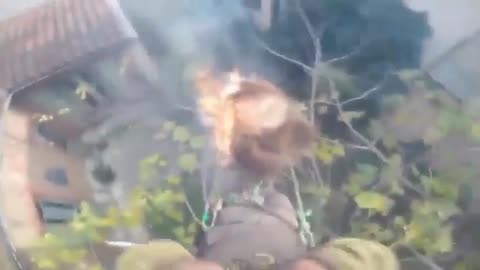 😂🌴 The Epic Fail of Trimming a Palm Tree! | FunFM