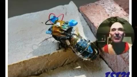 CHINA'S REMOTE-CONTROLLED CYBORG SPY BEES